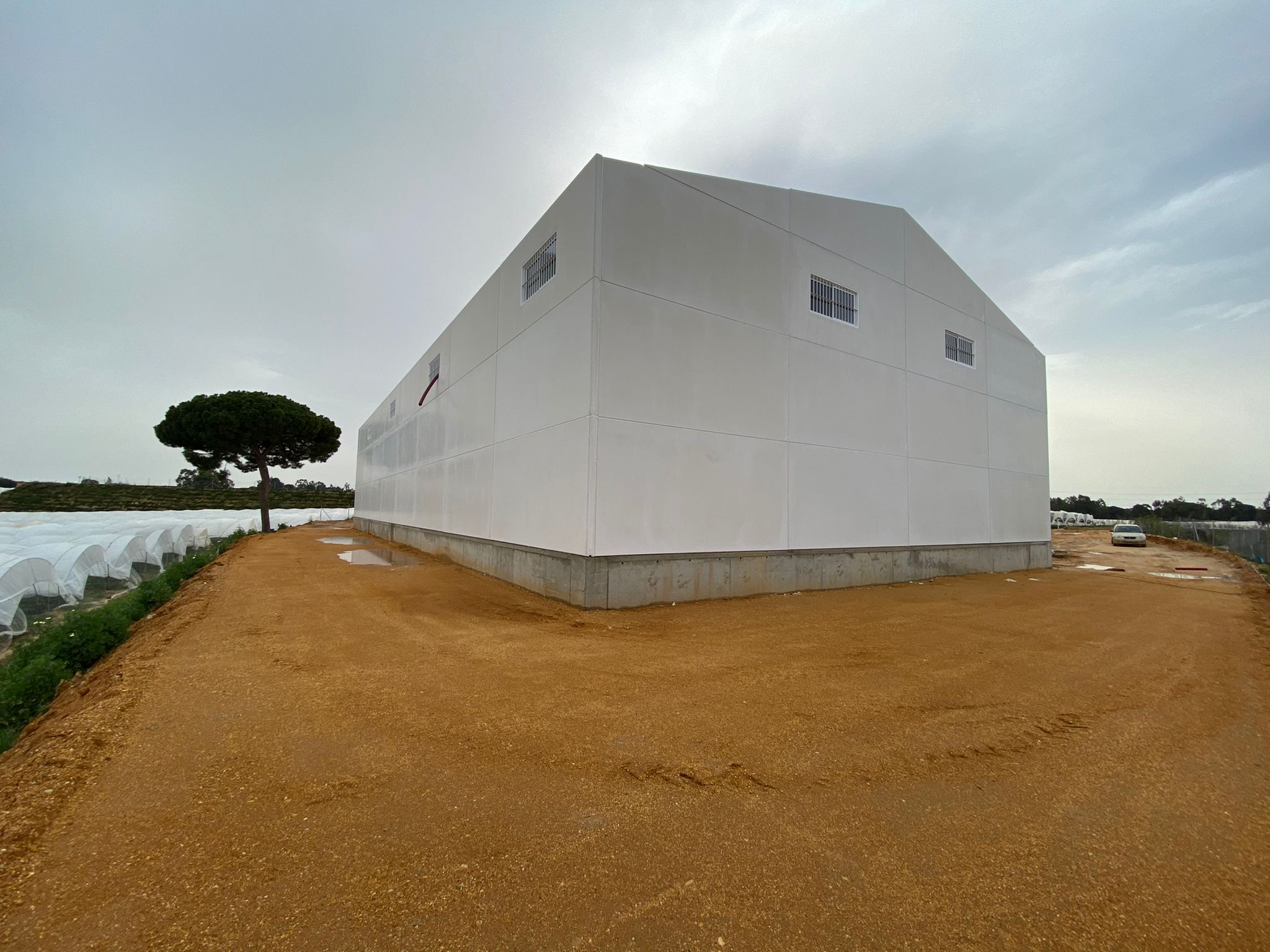 Obra Nave Hortofrutícola​ Trasera